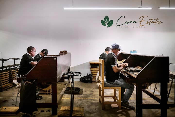 Des employï¿¯ï¾¿ï¾ï¿¯ï¾¾ï¾©s de Tres Hermanos confectionnent ï¿¯ï¾¿ï¾ï¿¯ï¾¾ï¾  la mains des cigares hauts de gammes dans les locaux de l'entreprise, le jeudi 28 septembre 2023 ï¿¯ï¾¿ï¾ï¿¯ï¾¾ï¾  Santiago de los Caballeros 
