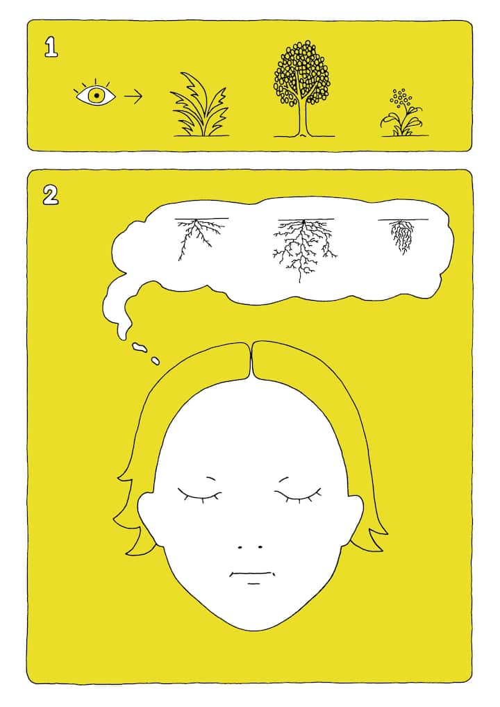 Racines, instruction de l’artiste Caroline Bachmann, 2021