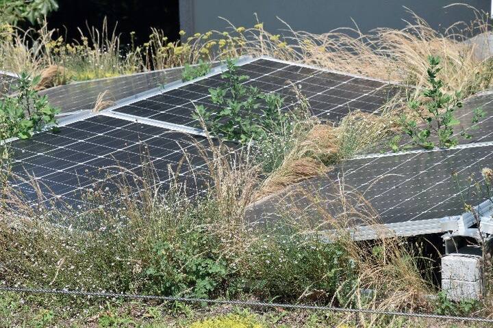 toitures-biosolaires-4