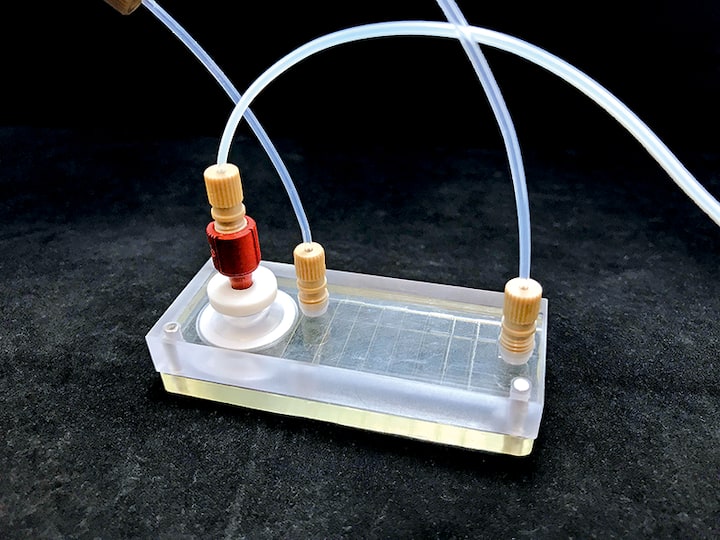 file6zs3jjxg2afehn8t304