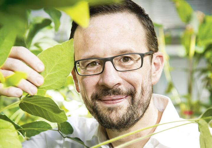 file7cgx4o4nt00is9j1cvz