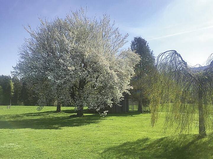 file7cgx3pgpj8w1mkloo1l9