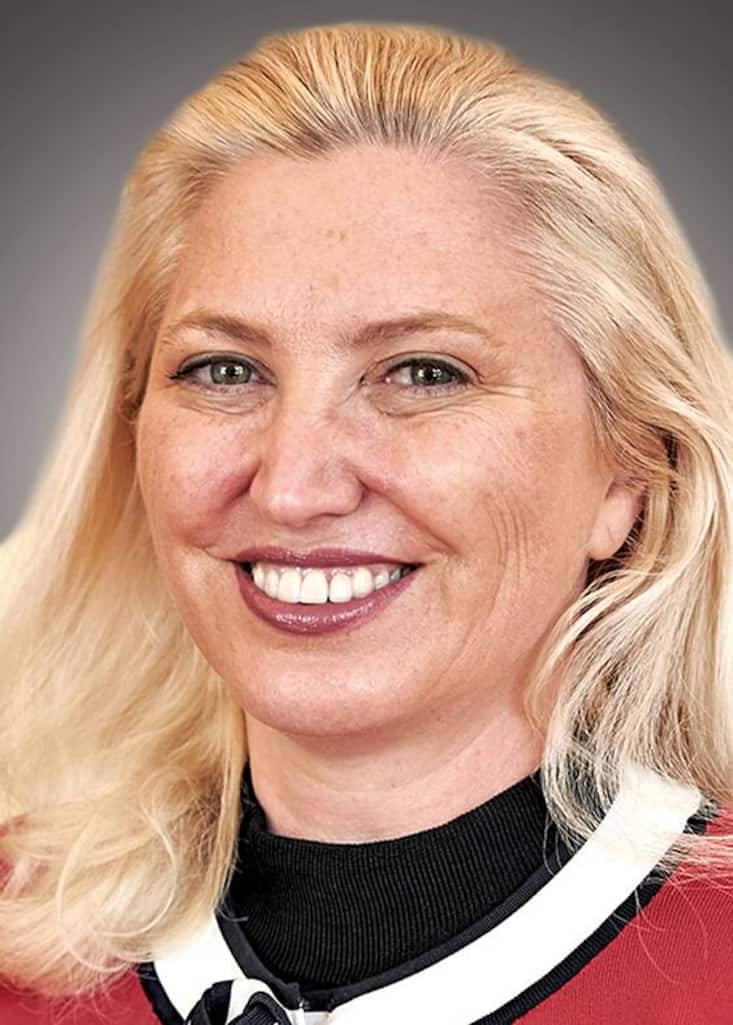 file72h65n1exdf1agl116jp