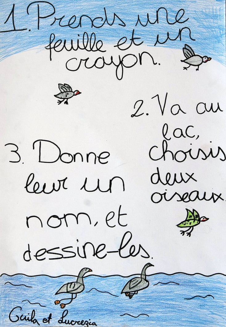 Instruction réalisée par des élèves de 7P, école primaire des Vollandes, 2023