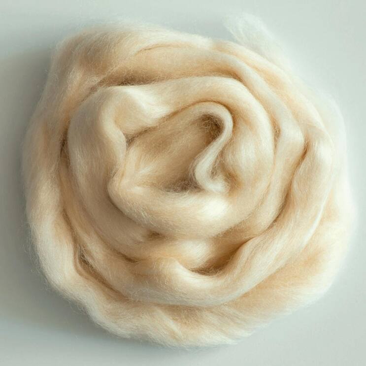 file7do4435esn61gp5cg1x6