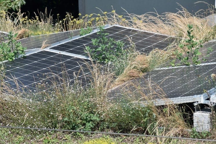 toitures-biosolaires-4