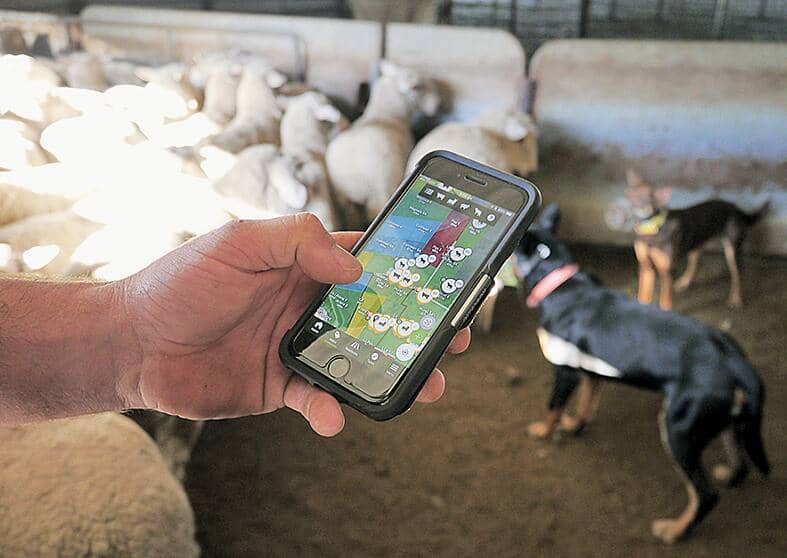 file78gj1vjlwa81040d2grd