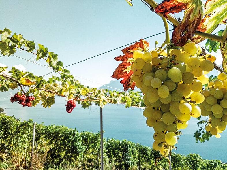 file77o8lu8iy4g54qfqifj