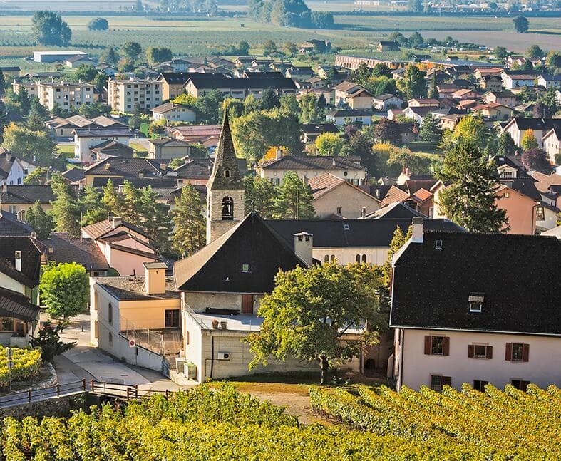 file74y48zyj240ad2tojso