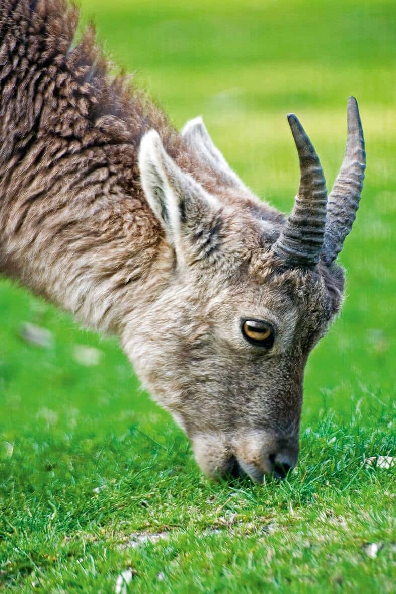 file739zm4y6w919hmyiewh