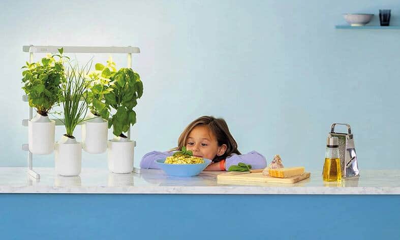 file78gj1uvoenc1exp5t39j